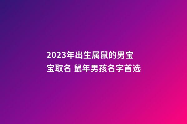 2023年出生属鼠的男宝宝取名 鼠年男孩名字首选